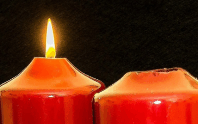 Homélie du 30 novembre 2025