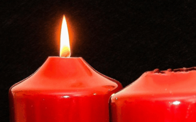 Homélie du 7 décembre 2025